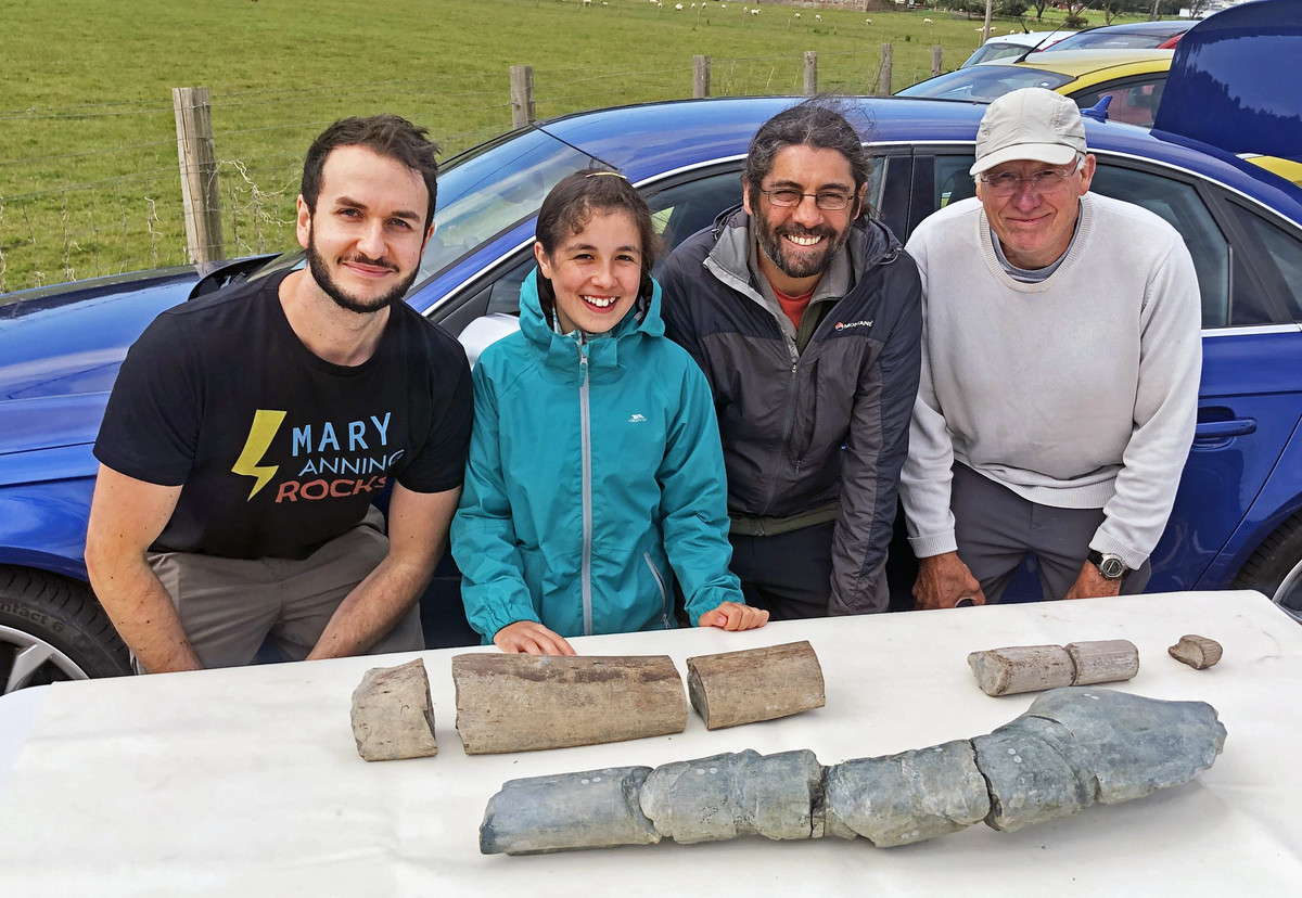 史上最大の魚竜か　２億年前の新種化石発見―推定体長２５メートル・英国