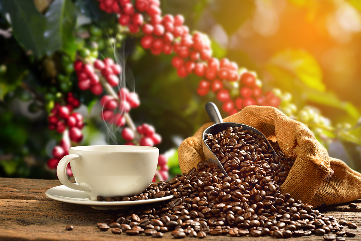 コーヒーが高価に、豆価格上昇　在庫も低水準
