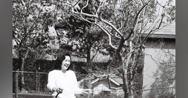 share?height=315&updatedAt=