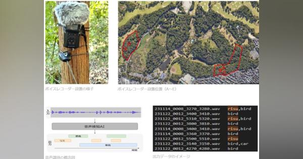 リスの鳴き声、AIで判別　「ケーブルかじられネット不通」防ぐ調査　NTT東