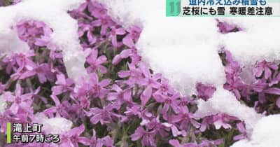 １３年ぶり５月に稚内で積雪・オホーツク滝上町では芝桜が雪かぶる…冬に戻った？北海道