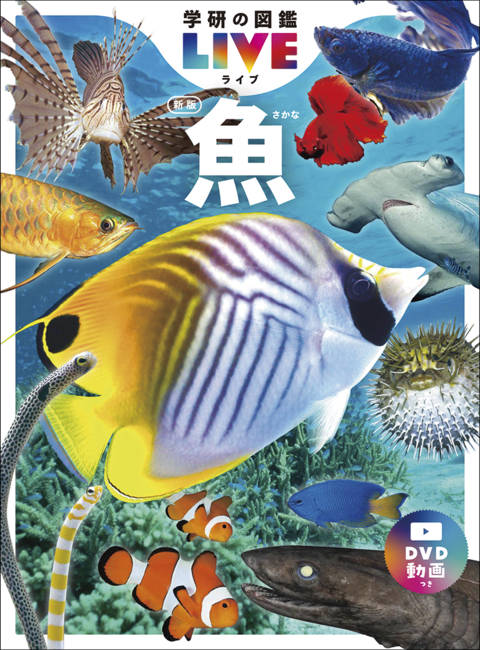 『魚　新版』の書影