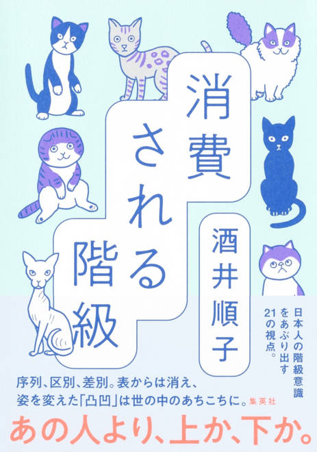 『消費される階級』の書影