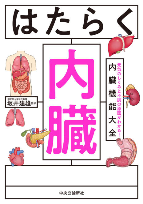 『はたらく内臓 元気のしくみと不調の原因がわかる！ 内臓機能大全』の書影