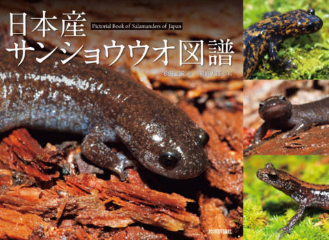 『日本産サンショウウオ図譜』の書影