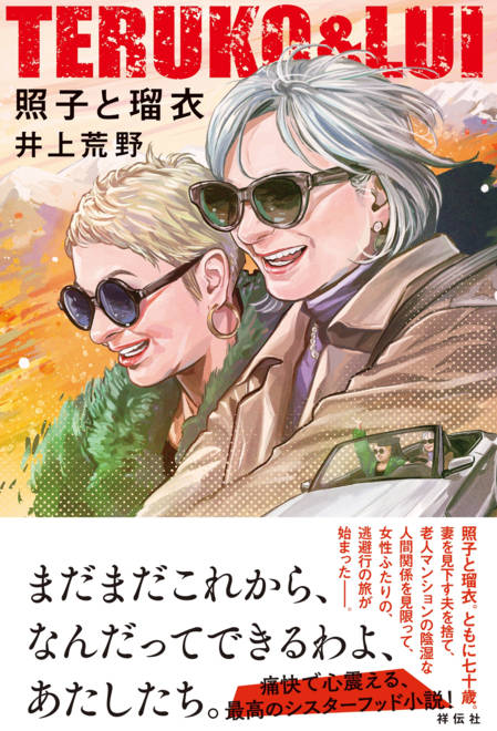 『照子と瑠衣』の書影