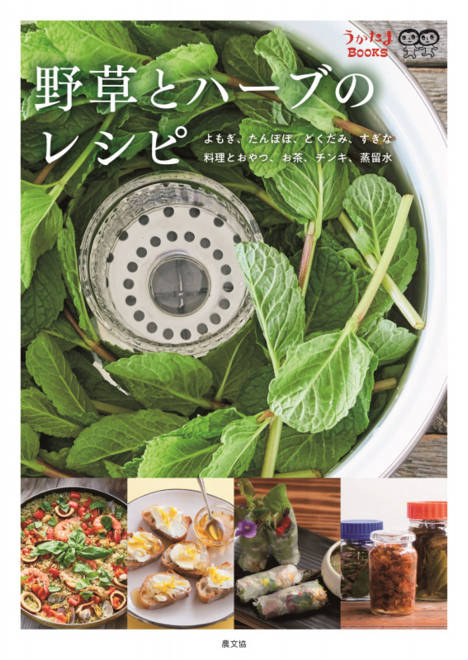 『野草とハーブのレシピ よもぎ、たんぽぽ、どくだみ、すぎな　料理とおやつ、お茶、チンキ、蒸留水』の書影