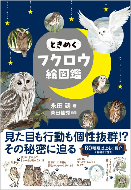 『ときめくフクロウ絵図鑑』の書影