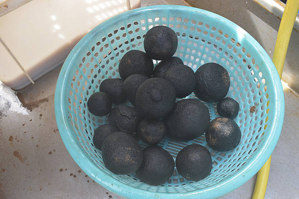 大発見】レアメタル含む鉱物2億トン。南鳥島沖の海底に