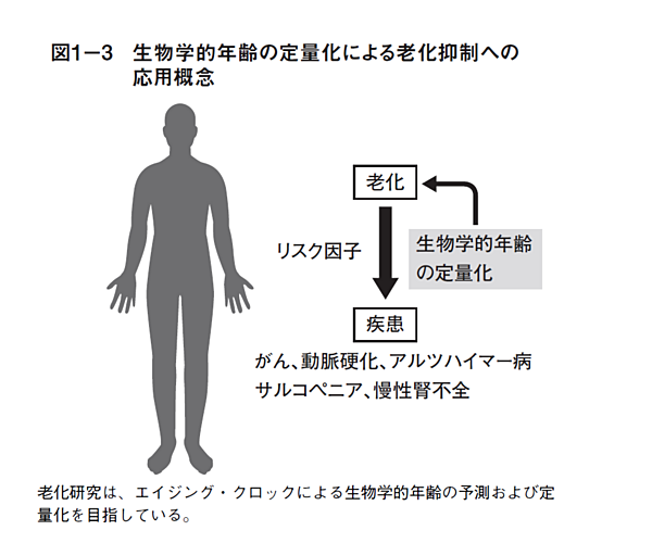 老化時計】健康診断に「生物学的年齢」が加わる未来