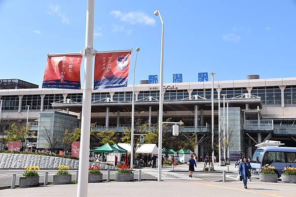 アルビレックス新潟　05/06シーズン　ホームモデル アルビレックス新潟 05/06シーズン ホームモデル - メルカリ