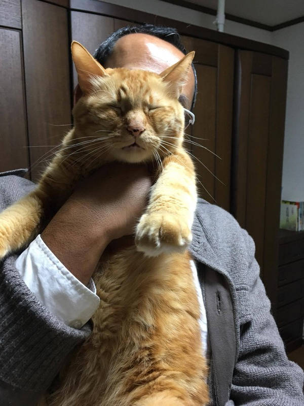 猫も感激。元三洋電機社員がつくった「世界初の掃除機」