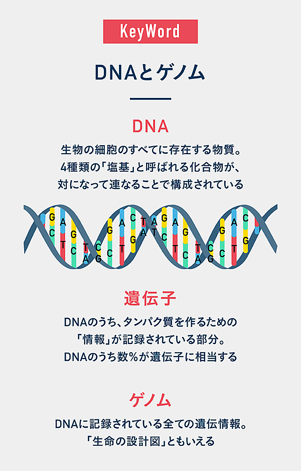 完全解説】生命のレシピをつくる、異端科学者の「正体」