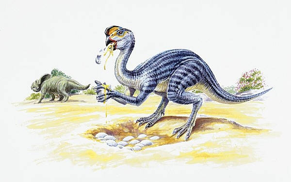 卵の化石」から解き明かすリアルな生態