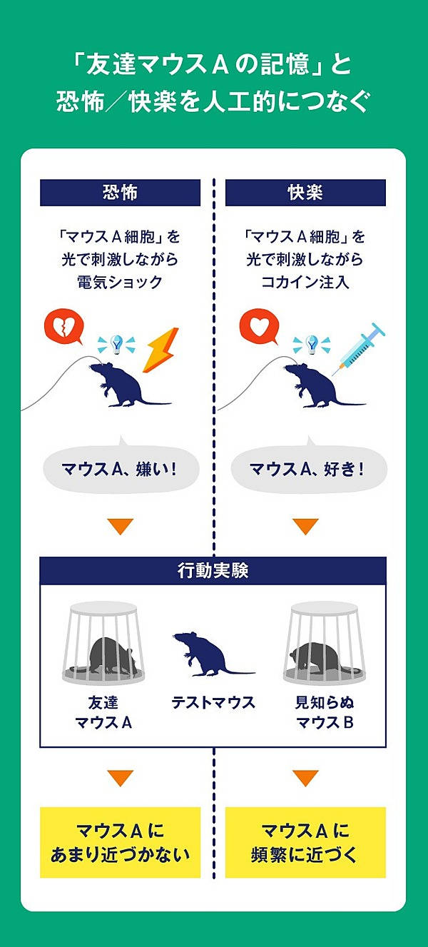 超解説】脳は「機械」として捉えよ