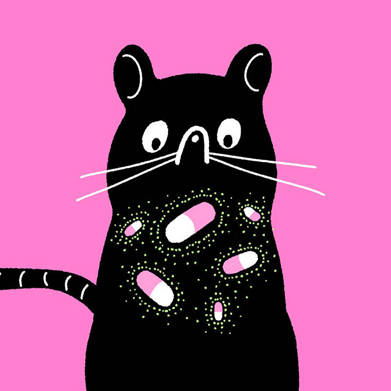 新発見】マウスの体内に天然の「遺伝子治療薬」があった