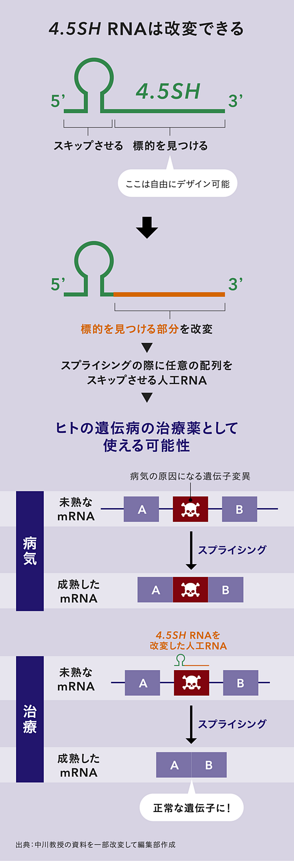新発見】マウスの体内に天然の「遺伝子治療薬」があった