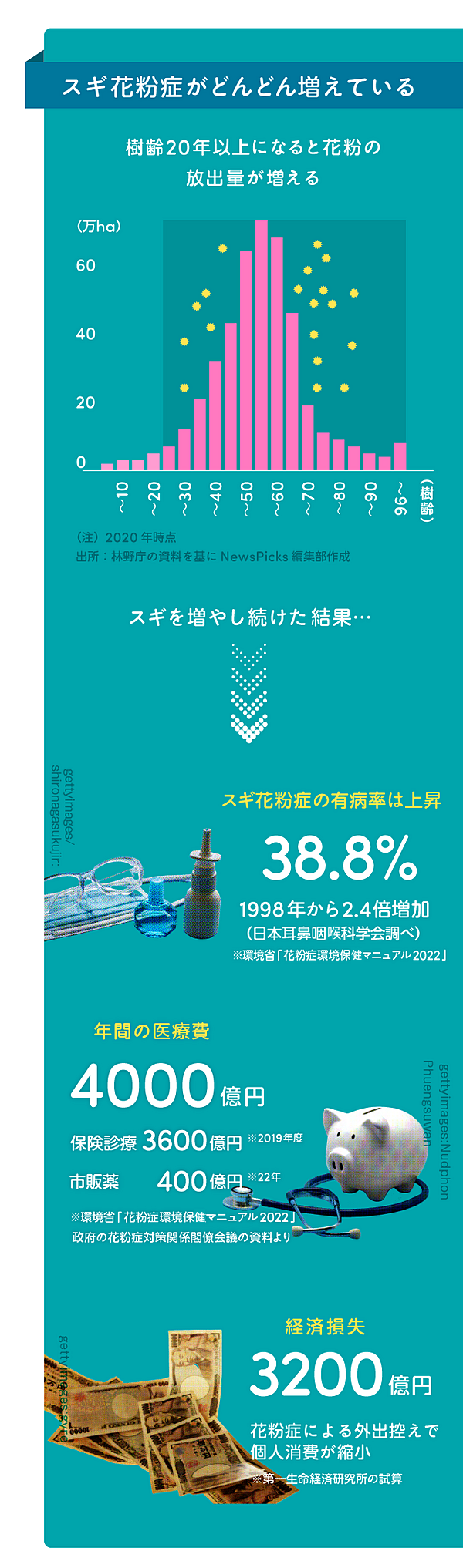 花粉 症 2020
