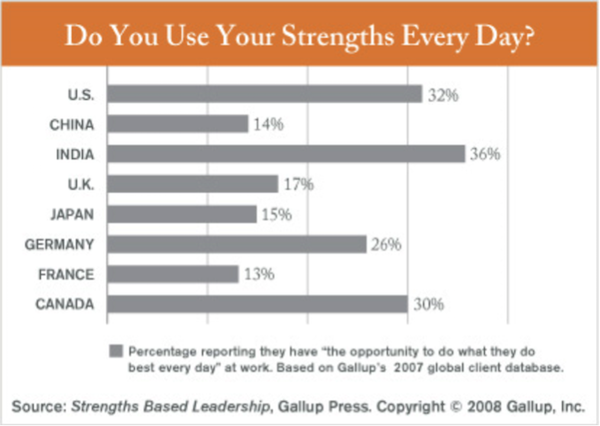 参照：Finding Your Leadership Strengths