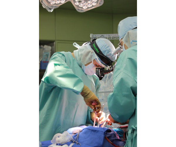 文系卒一般企業から心臓外科医へ プロピッカー奈良原裕の 諦めない力