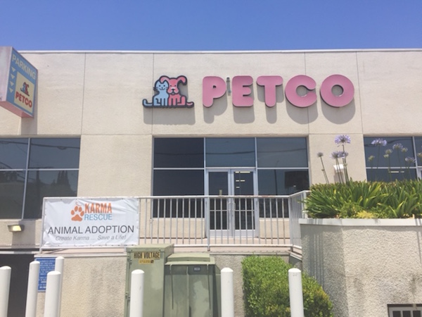 創業から51年、犬や猫の生体販売を行わず、シェルターに保護された動物のアダプションを推進し、米国ペット用品業界第2位までのぼりつめたPETCO。 