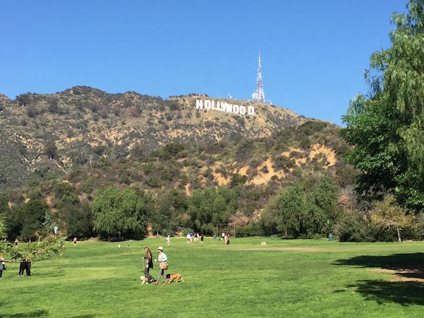 ハリウッドサインの下に広がるのは、LAの愛犬家たちに人気の公園「Lake Hollywood Park」。