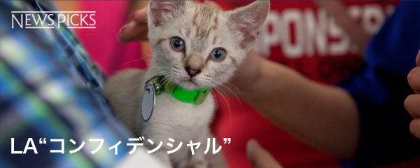 Laを変えた動物愛護団体の 巻き込み力