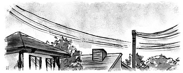 第8週 危ういバランス 1 6 ダイジェスト