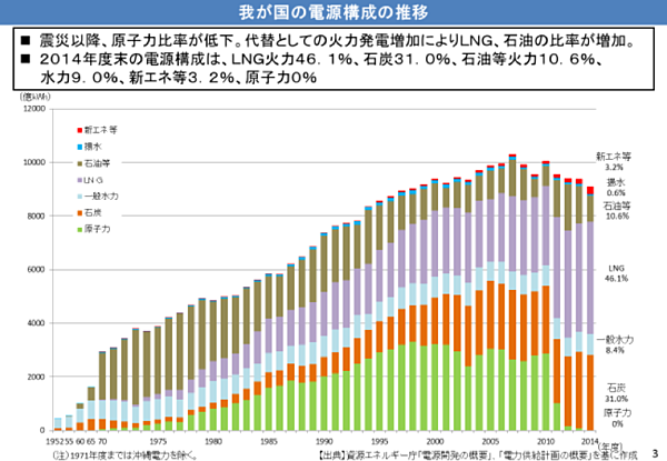 竹内純子 注目は ガス小売り自由化 東電問題 地球温暖化
