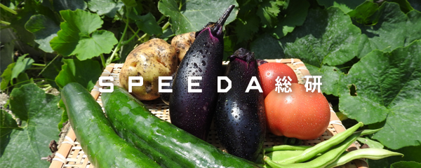 Speeda総研 静かなブームを呼ぶ貸し農園 市民農園