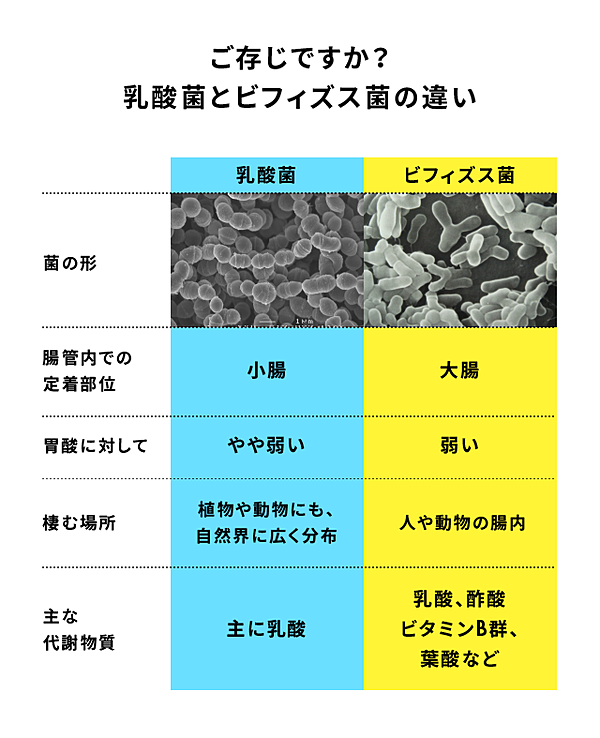 最高のパフォーマンス をもたらす腸コンディショニング術