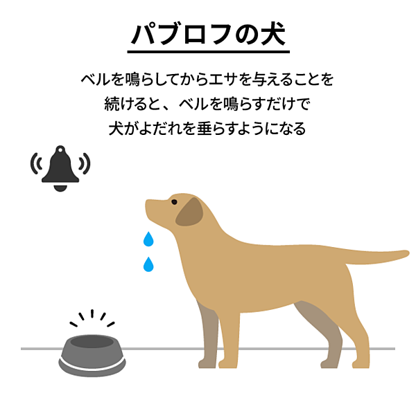 脳 との親和性が高いのは 文章や写真ではなく 動画 だ