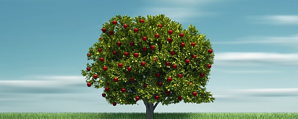 人生を心の底から謳歌する スティーブ ジョブズ 33の名言