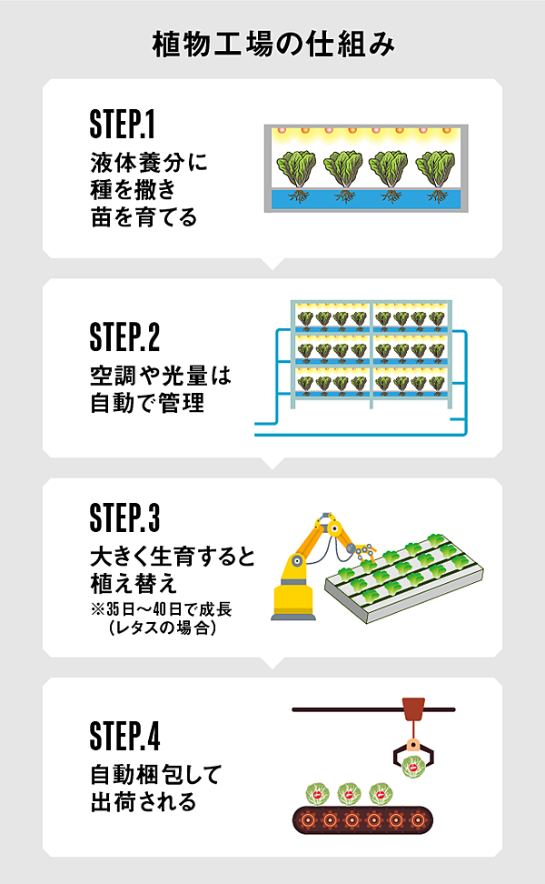 新常識 これから野菜は 自動車のように 工場 で作られる