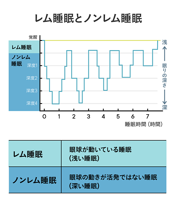 最先端 脳科学が解明する 深い睡眠の 先