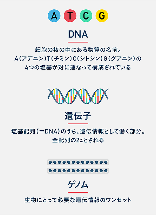 高橋祥子 最新研究 人間は 遺伝子で ここまで 分かった