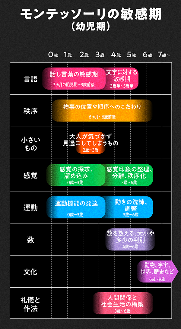 実践 モンテッソーリ教育は なぜ天才を生み出すのか