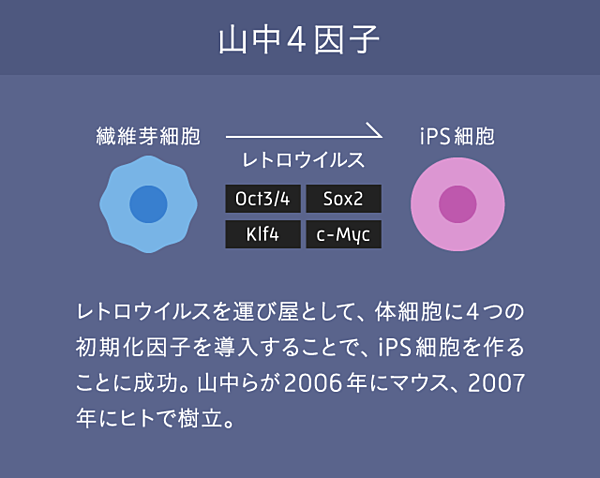 独占 世界が希望を託す 最速ワクチン企業 のすべて