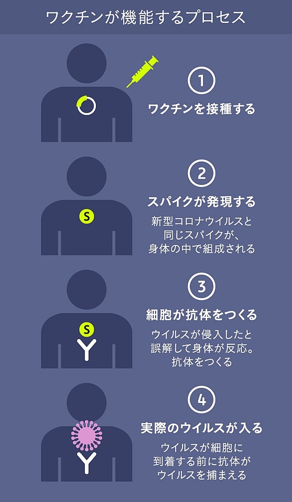 真相】「国産ワクチン」が必要な本当の理由