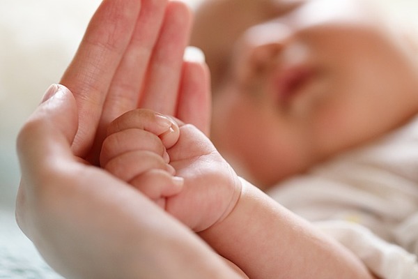 論文picks 髪を生やす その役目を忘れる細胞たち