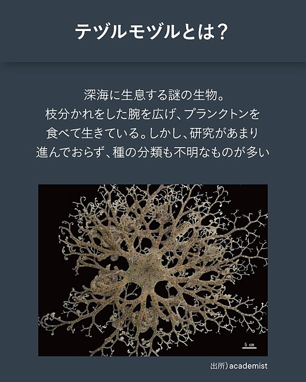 新潮流 いま面白い ニッポンの 草の根研究