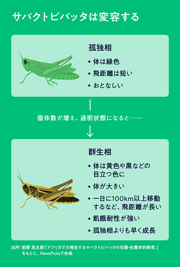 バッタ 大量 発生 2020