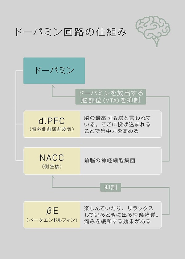 神経科学 1年後にどうありたい は 意味がない