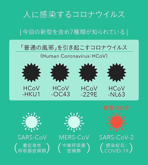 最新 普通の風邪の免疫が 新型コロナに効くかもしれない