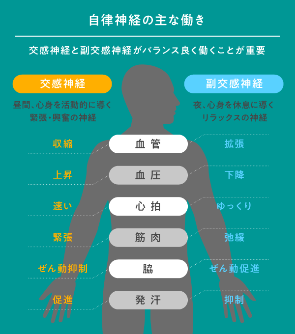 疲労回復の名医】“神経細胞の老化”を防げ。「謎の疲労感」の正体