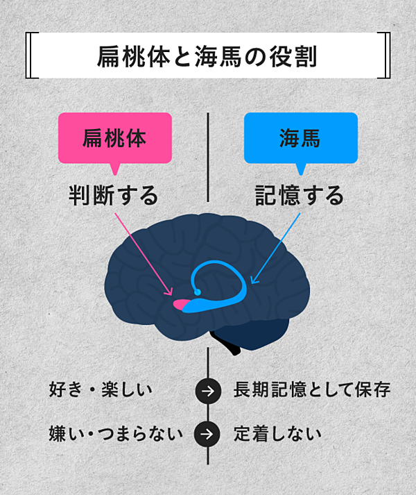 脳医学者 何歳でも遅くない 大人の脳 を活かした独学術