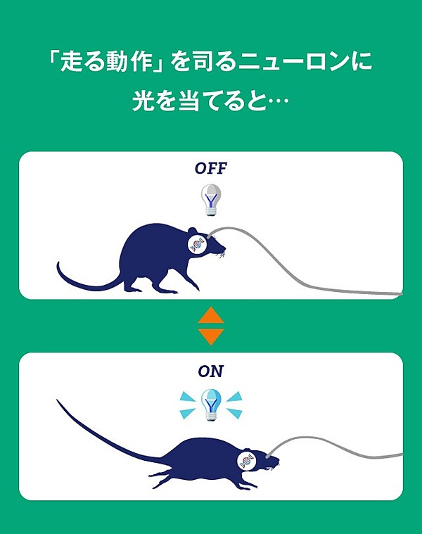 超解説】脳は「機械」として捉えよ