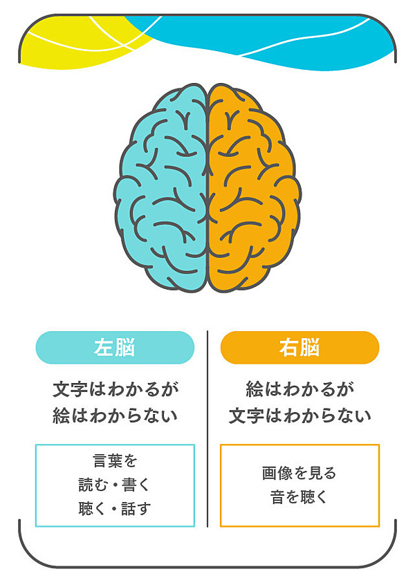 解説 東大文 と理 に合格した医師が勧める 運動 耳学習