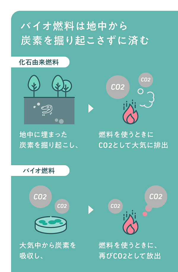 藻を第二の石油に」バイオベンチャーの大胆な戦略