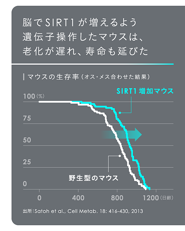 解説】第一人者が語る、老化・寿命研究の現在地